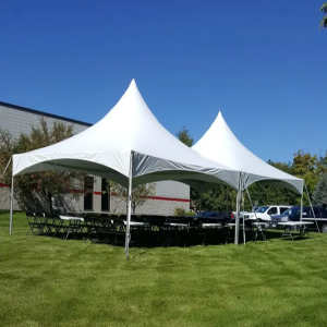Frame Tent 20X40 grass only
